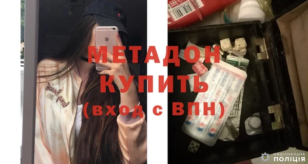 сатива Арсеньев