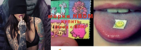 сатива Арсеньев