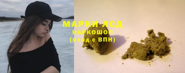 apvp Аркадак
