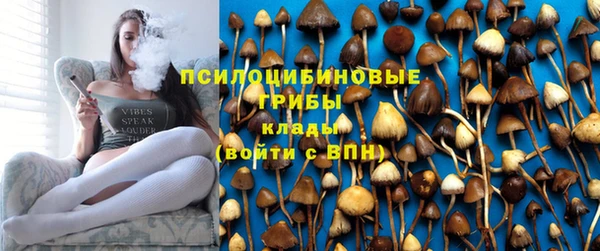 PSILOCYBIN Армянск