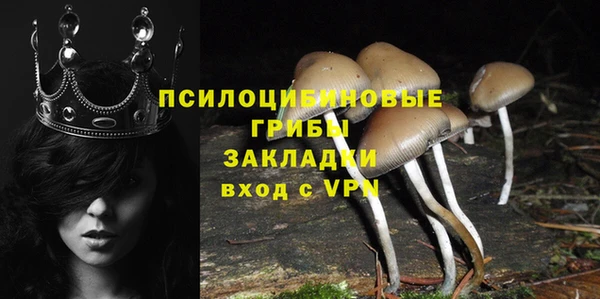apvp Аркадак