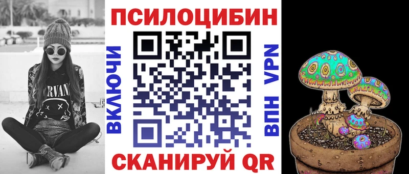 Псилоцибиновые грибы GOLDEN TEACHER  где продают наркотики  Дыгулыбгей 